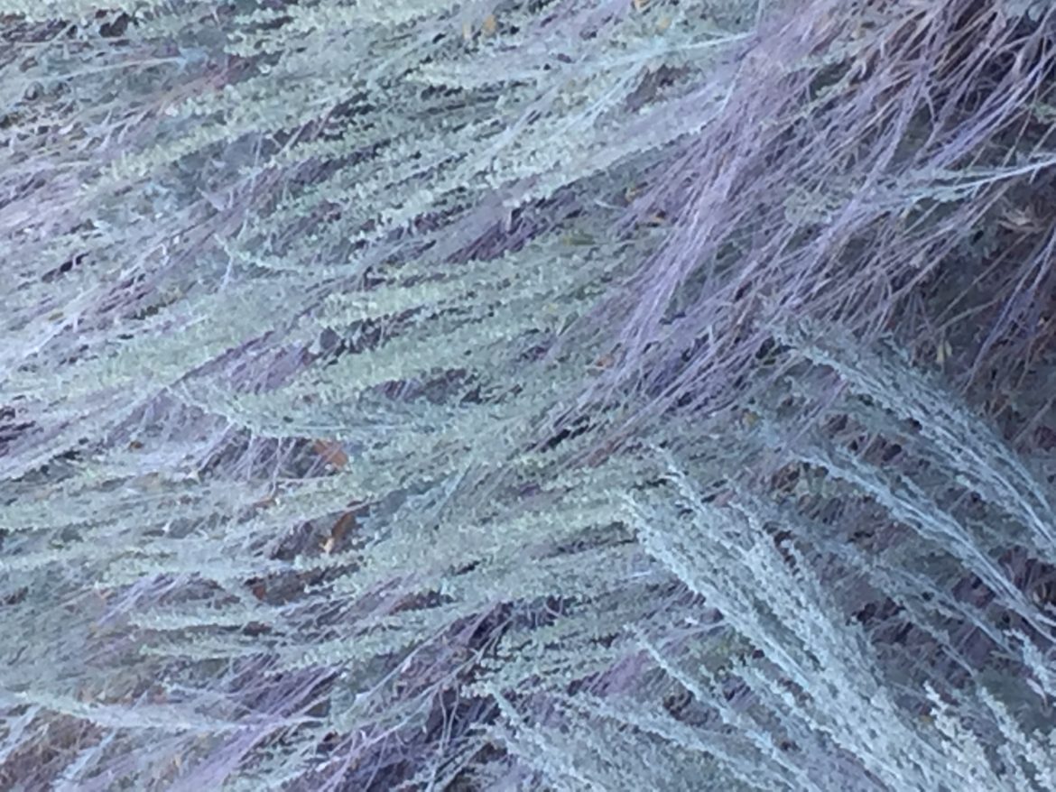 stunned and saddened